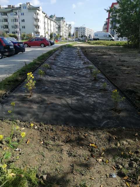 image000000(5)